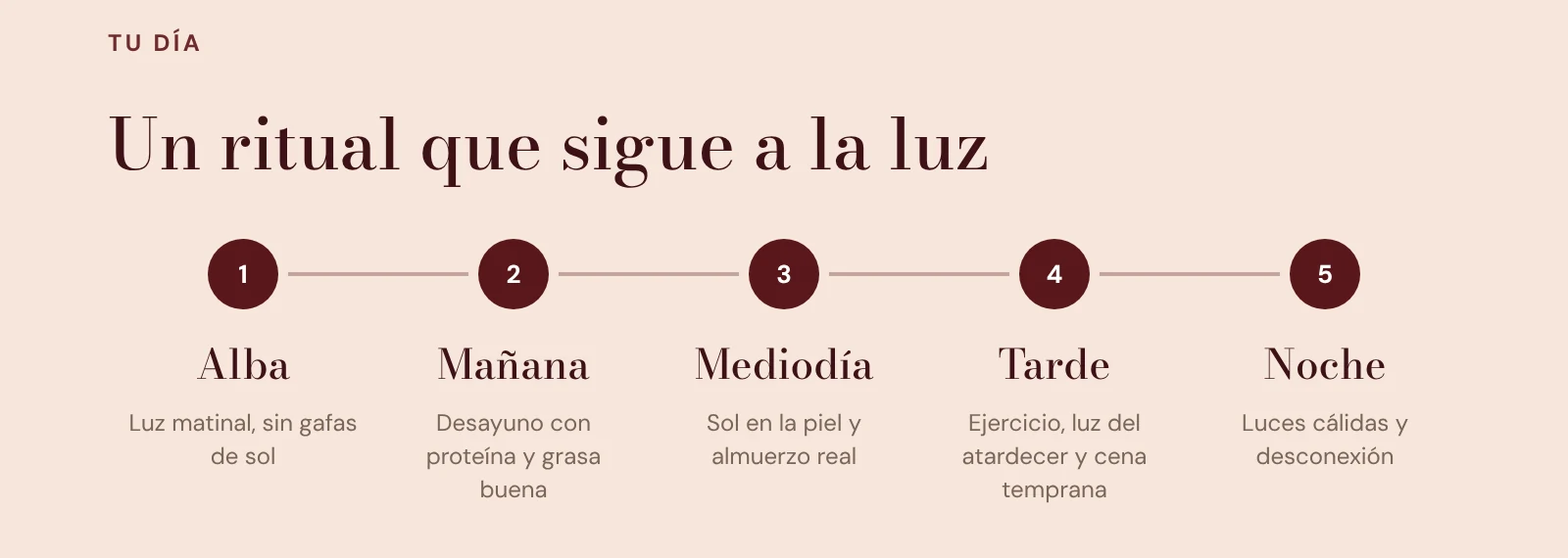 Los cinco momentos del día: alba, mañana, mediodía, tarde y noche